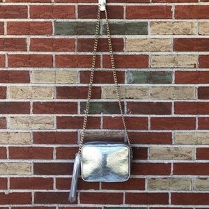NWOT Victoria’s Secret Silver Snake Print Chain Purse Pocketbook Crossbody Bag 👜